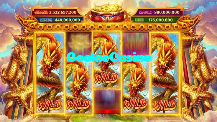available types of CookieCasino bet including pre-match live express and system bets